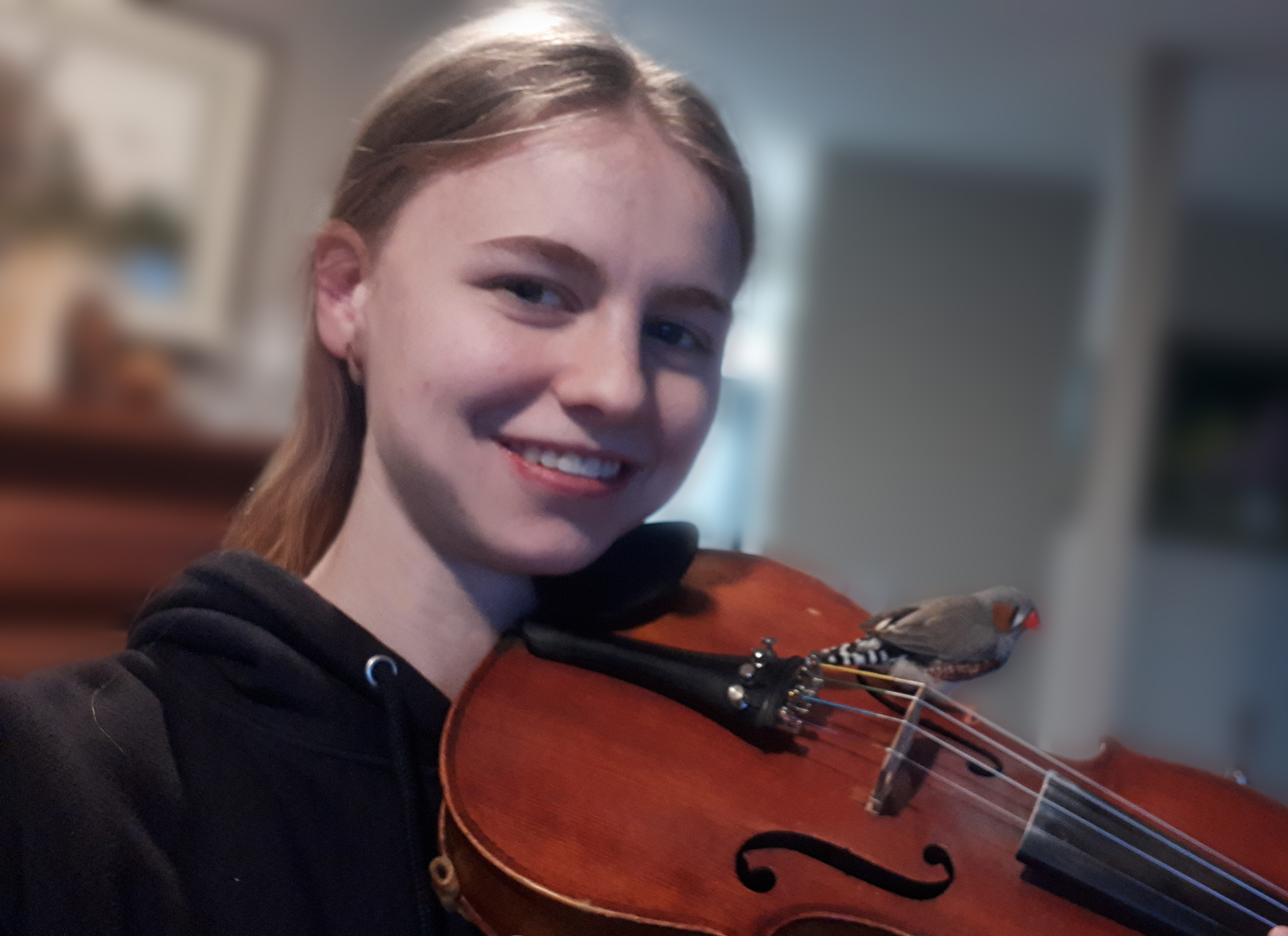 me, my violin, and my bird